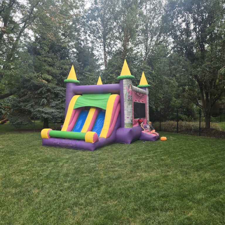 HOA and Block Party Rentals Omaha – princess bounce house combo with dual slide in backyard setup